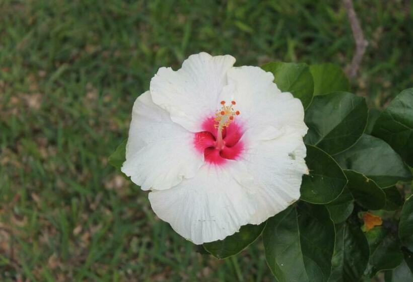 آپارتمان 1 خوابه, Grand Bay Suites