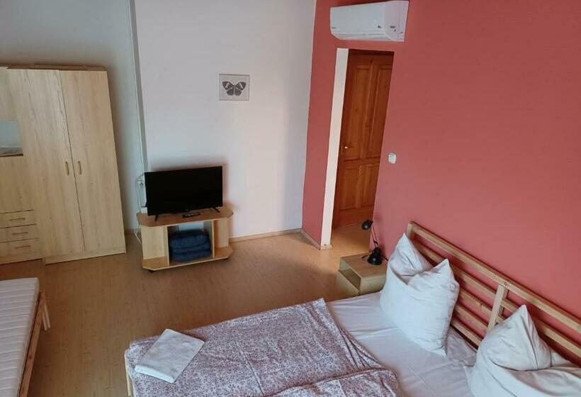 Студио Стандарт с Балконом, Jankó Apartman