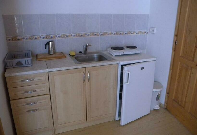Студио Стандарт с Балконом, Jankó Apartman