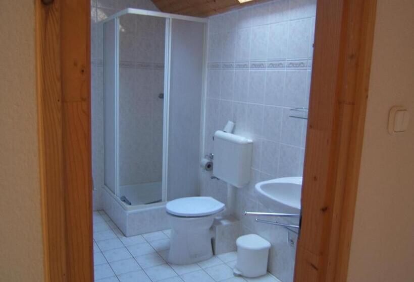 סטודיו סטנדרט עם מרפסת, Jankó Apartman