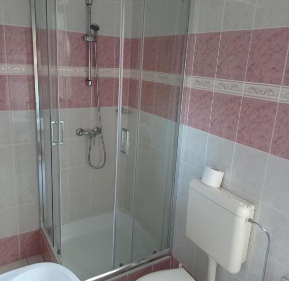 חדר משפחתי, Jankó Apartman