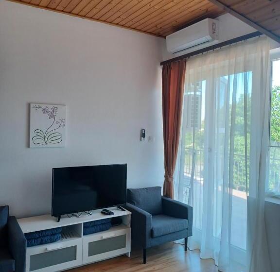 דירת 2 חדרים עם טרסה, Jankó Apartman