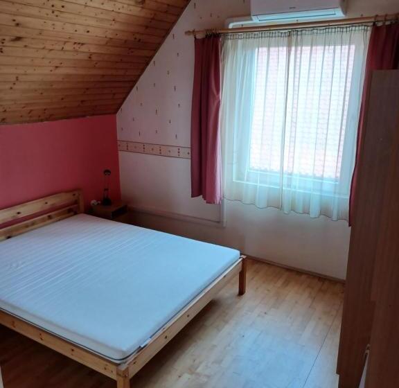 דירת פנטהאוז 2 חדרי שינה, Jankó Apartman