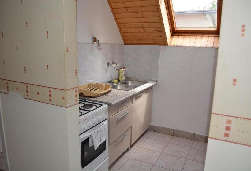 דירת פנטהאוז 2 חדרי שינה, Jankó Apartman