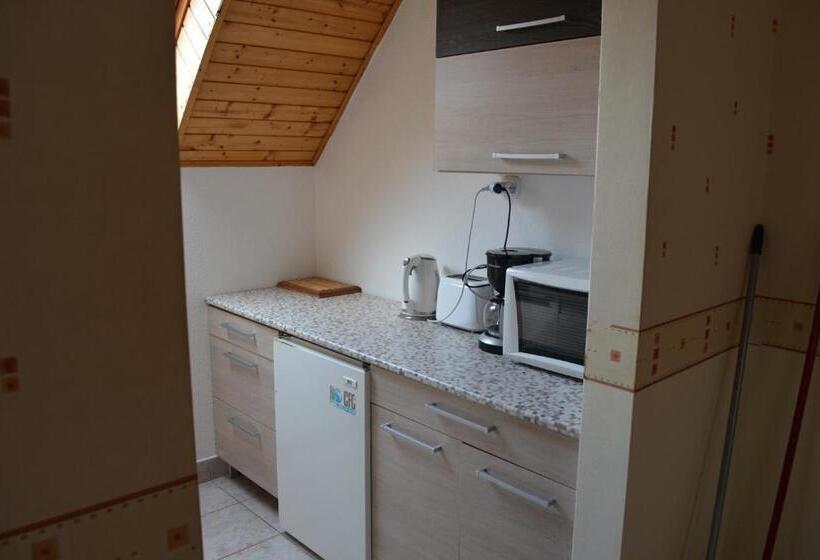 דירת פנטהאוז 2 חדרי שינה, Jankó Apartman