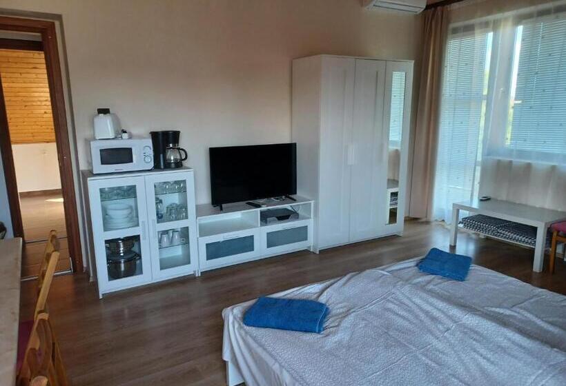 דירת 2 חדרי שינה עם נוף לבריכה, Jankó Apartman