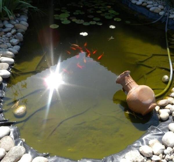 דירת 2 חדרי שינה עם נוף לבריכה, Jankó Apartman