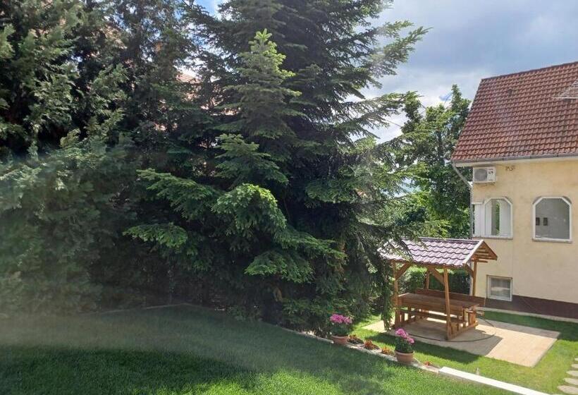 Апартаменты 1 Спальня Нижний Этаж, Jankó Apartman