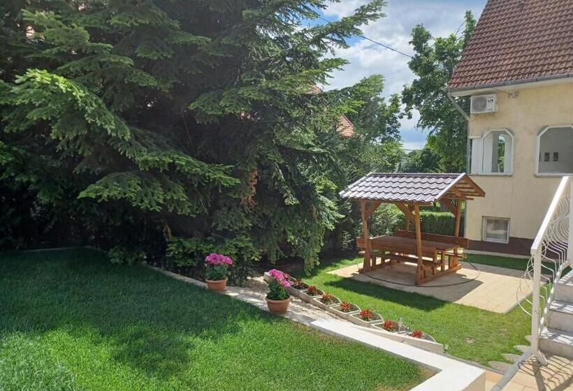 Апартаменты 1 Спальня Нижний Этаж, Jankó Apartman