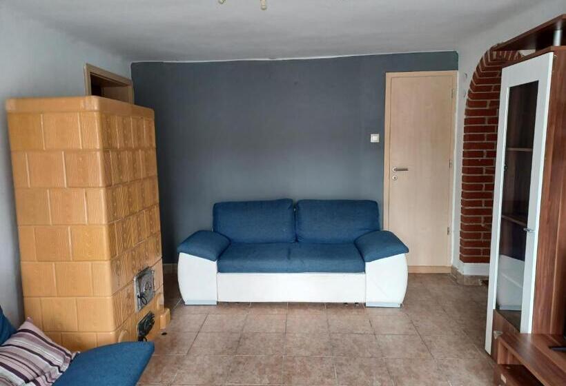 Апартаменты 1 Спальня Нижний Этаж, Jankó Apartman