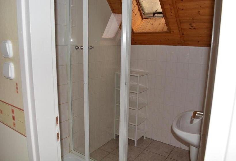 דירת פנטהאוז 2 חדרי שינה, Jankó Apartman