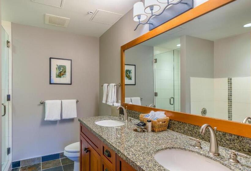 Апартаменты 2 Спальни, Capitol Peak Lodge By Snowmass Mountain Lodging