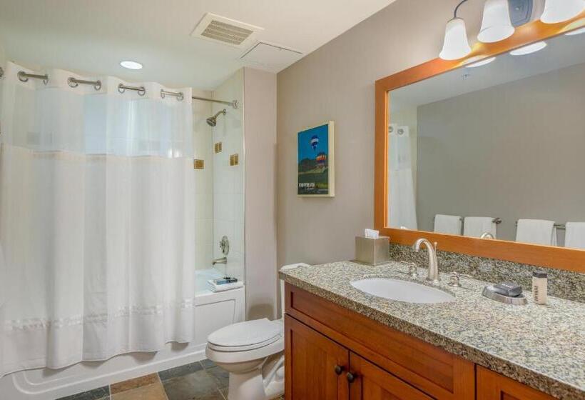 2ベッドルームアパートメント, Capitol Peak Lodge By Snowmass Mountain Lodging