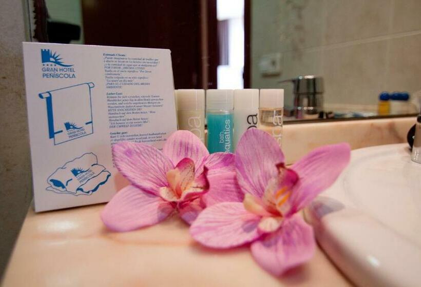 스탠다드 룸, Gran Hotel Peñiscola