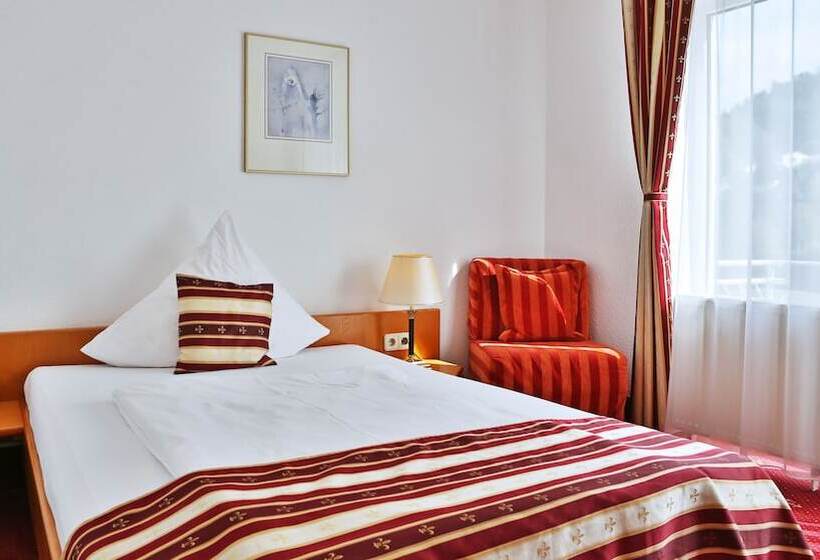 Номер Deluxe Одноместный, Neckarlux