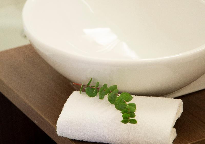 Номер Стандарт, Scandic No. 25