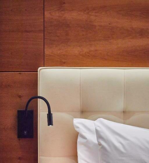 带城市景观的标准间, Silken Coliseum