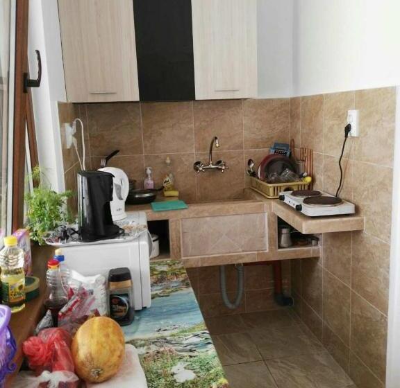 اتاق استاندارد, Guest House Ofilovi