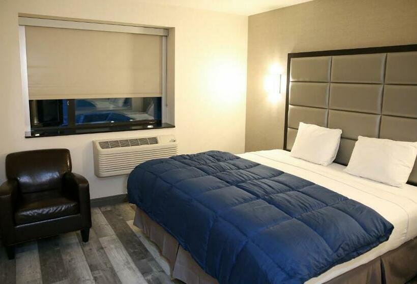 带大床的标准间, Umbrella Hotel Brooklyn