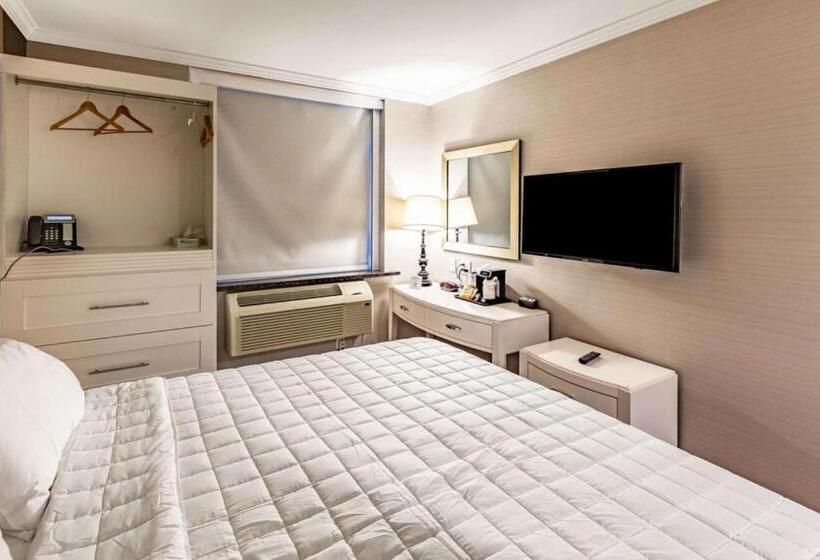 带大床的标准间, Umbrella Hotel Brooklyn