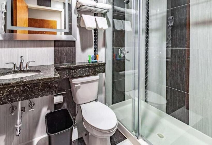 带大床的标准间, Umbrella Hotel Brooklyn