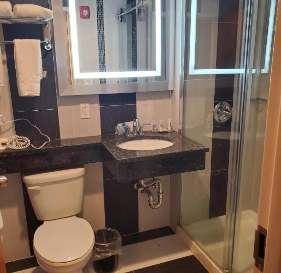 带大床的标准间, Umbrella Hotel Brooklyn