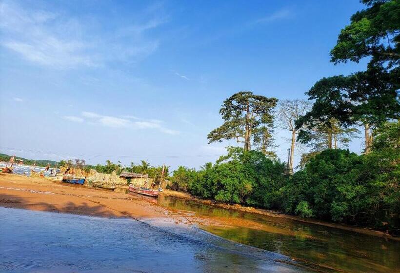 اتاق خانوادگی, Scorpion Hill Lodge