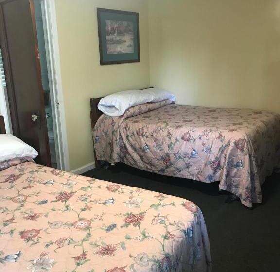 デラックスルーム, Evergreen Motel