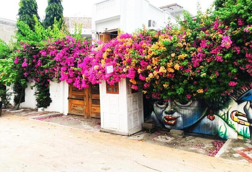 اتاق کلاسیک, La Maison De Canelya