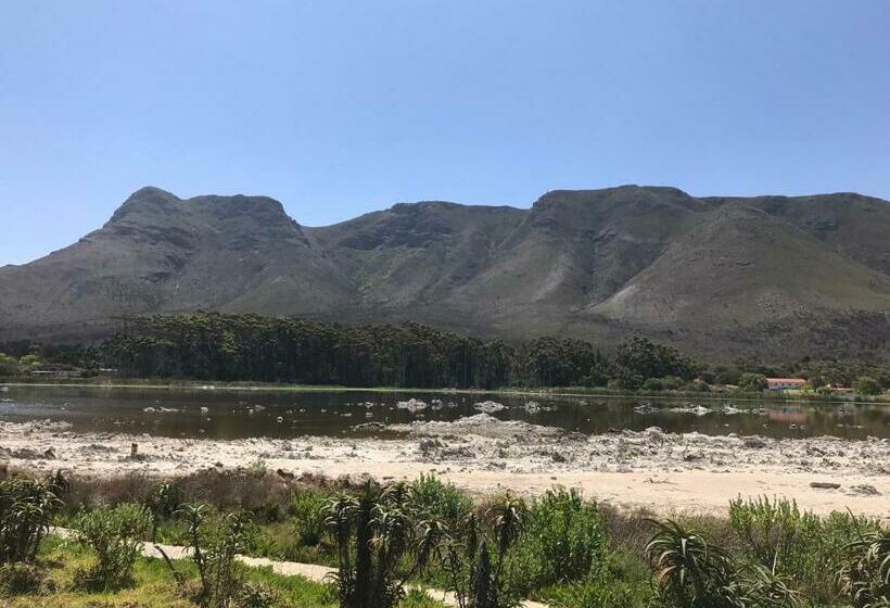 Suite with lake view, Bird's View
