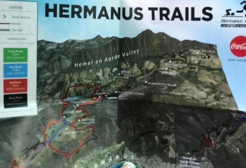 Suite with lake view, Bird's View