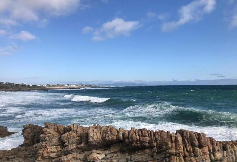 خانه 1 خوابه, Bird's View