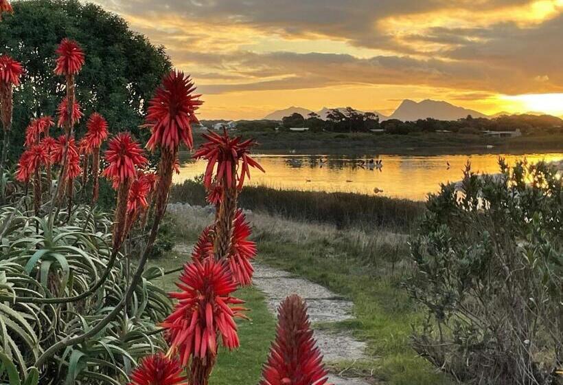 سوئیت با وان آب گرم, Bird's View