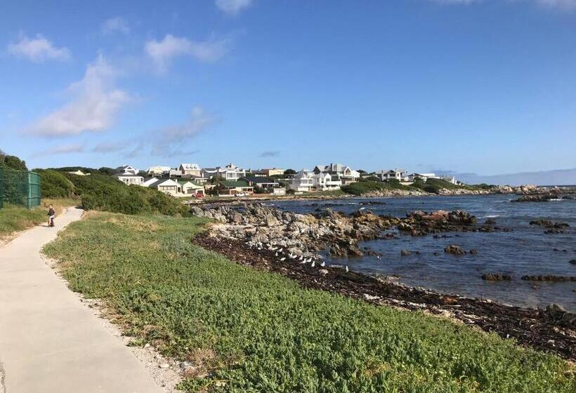 سوئیت با وان آب گرم, Bird's View