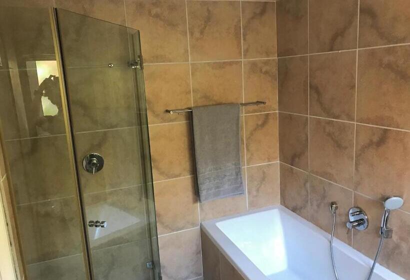 Suite with lake view, Bird's View