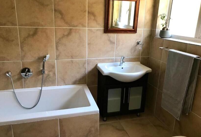 Suite with lake view, Bird's View