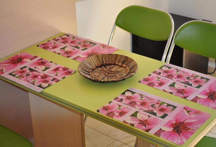 프리미엄 4인룸, Family Hotel Daf