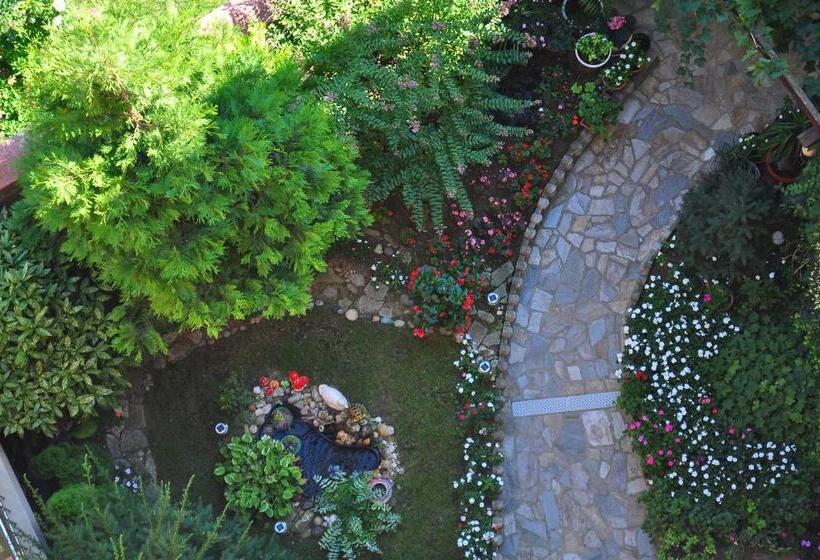اتاق پریمیوم چهارنفره, Family Hotel Daf