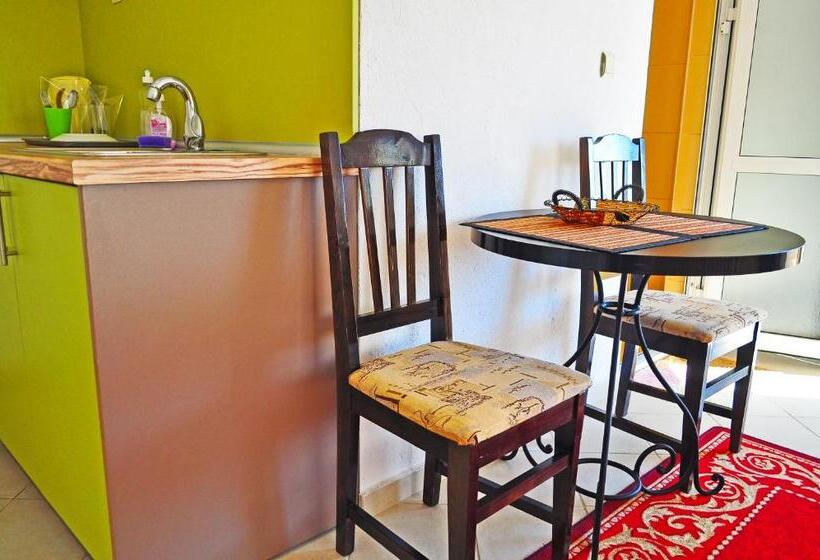 스탠다드 스튜디오 바다 전망, Family Hotel Daf