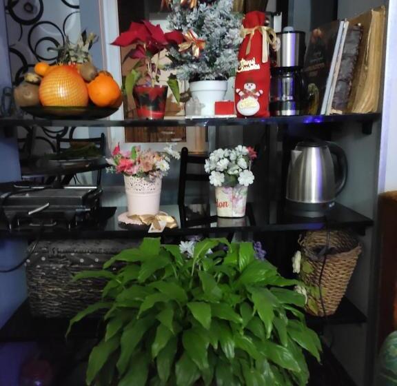 اتاق استاندارد با تخت بزرگ, Guest House Gelit