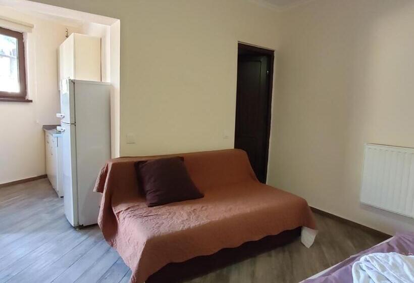 استودیوی استاندارد, Guest House Gelit