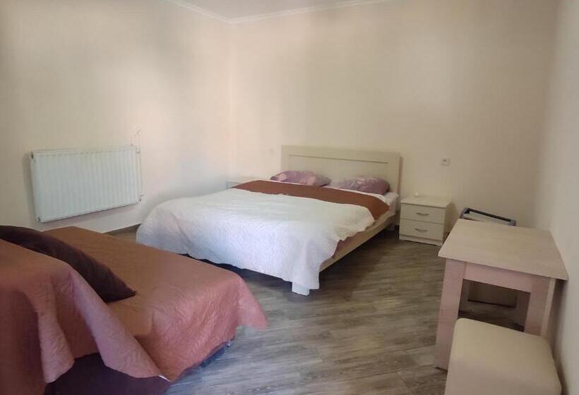 استودیوی استاندارد, Guest House Gelit