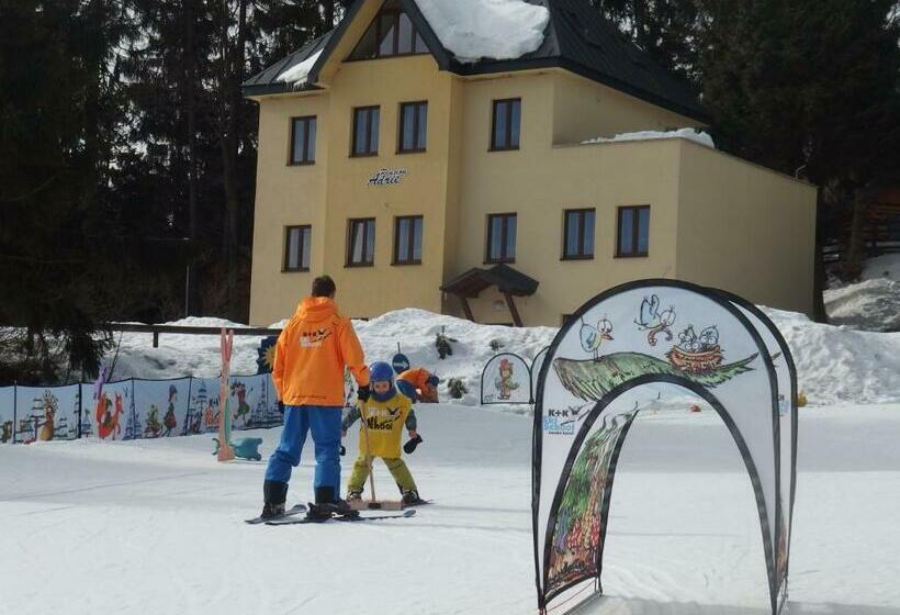 شقة غرفة واحدة, Pension Adrie