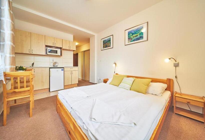 إستوديو قياسى, Pension Adrie