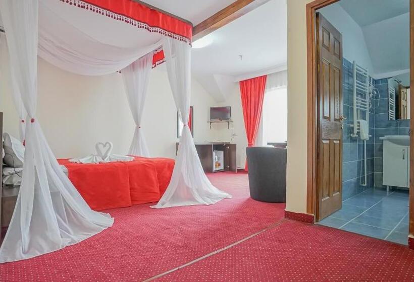 Номер Стандарт с Балконом, Pensiunea La Busu