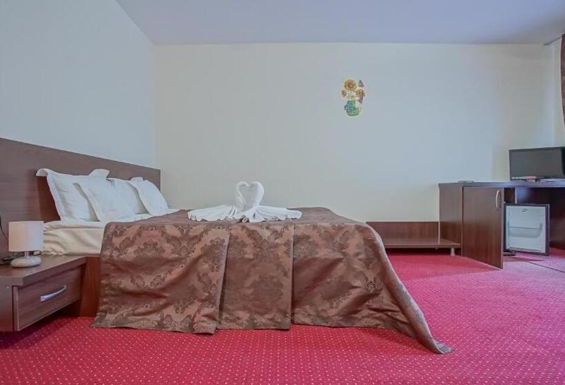 Номер Стандарт Вид на Сад, Pensiunea La Busu