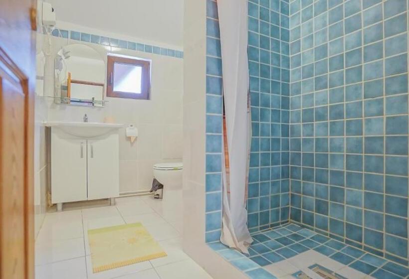 Номер Стандарт Вид на Сад, Pensiunea La Busu