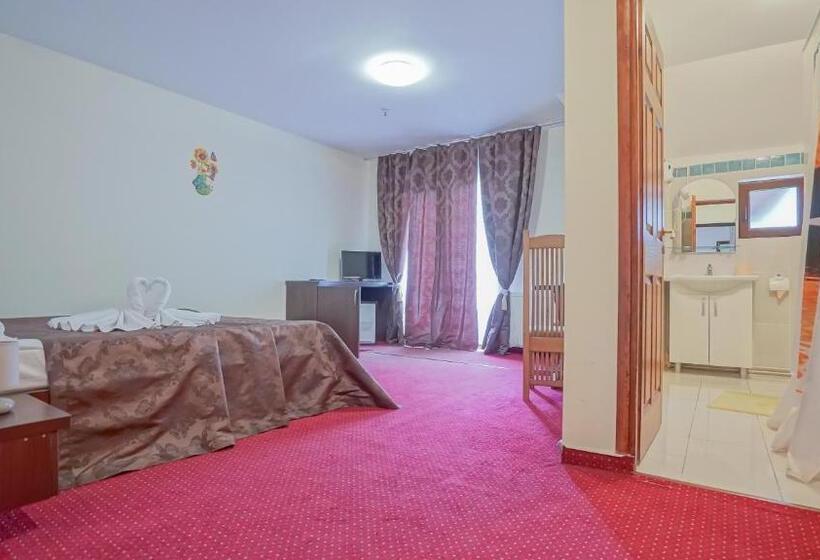 Номер Стандарт Вид на Сад, Pensiunea La Busu