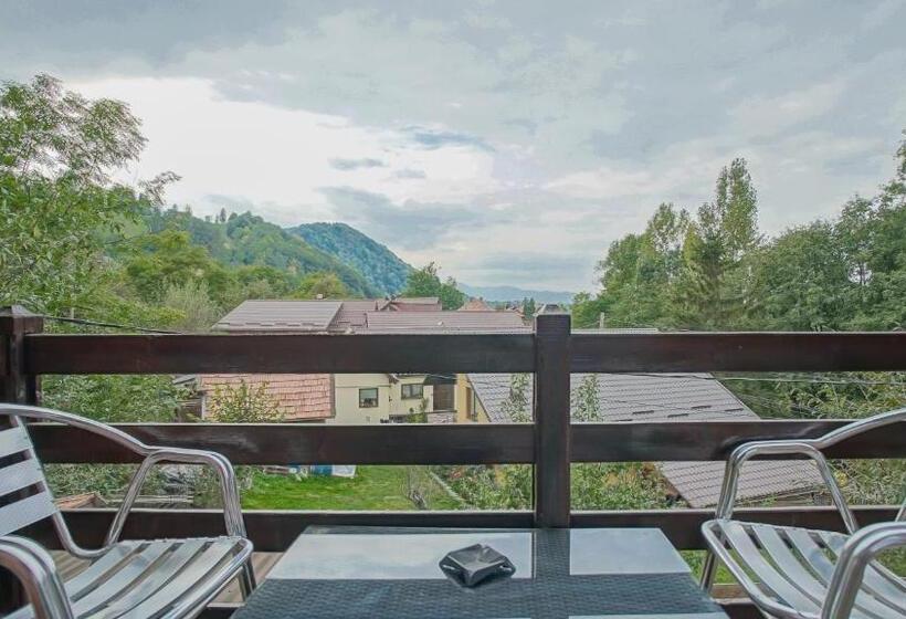 Номер Deluxe Кровать Кинг, Pensiunea La Busu