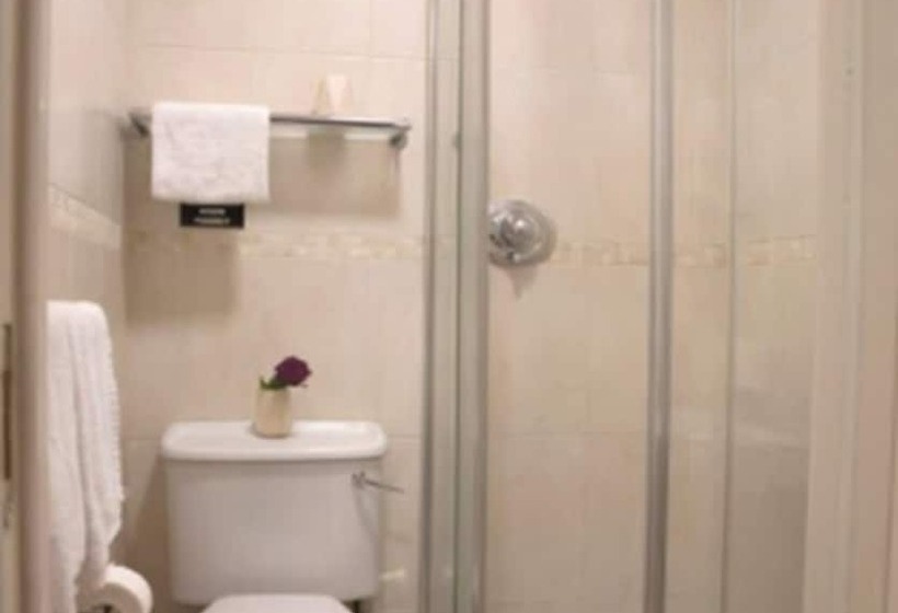 标准单人间, Celtic Lodge Guesthouse Restaurant & Bar